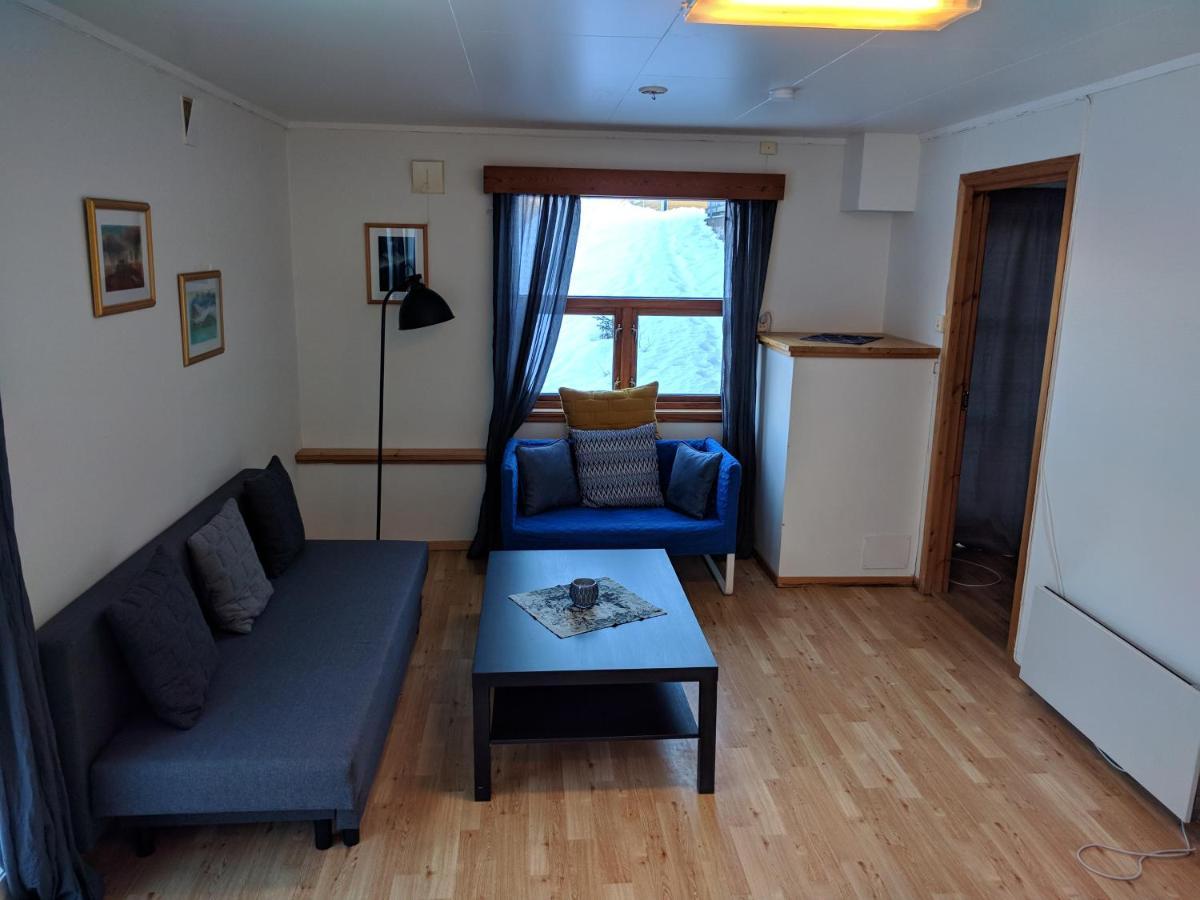 Seljord Apartment *